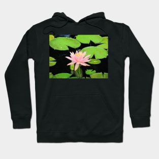 Blue Dragonfly On Pink Flower Hoodie